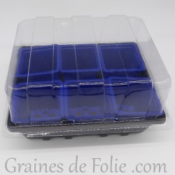 Mini serre avec 6 godets pour semis couleur bleu foncé