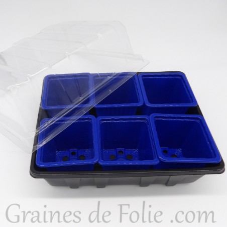 Mini serre avec 6 godets pour semis couleur bleu foncé