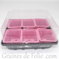 Mini serre avec 6 godets pour semis couleur rose