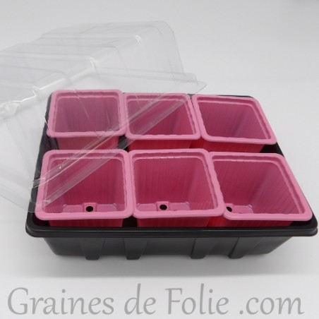 Mini serre avec 6 godets pour semis couleur rose Mini serre avec 6 godets pour semis couleur rose