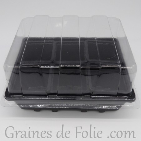 Mini serre avec 6 godets pour semis couleur noir