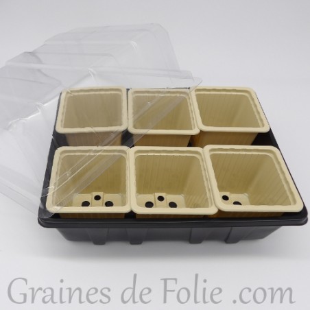 Mini serre avec 6 godets pour semis couleur beige