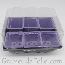 Mini serre avec 6 godets pour semis couleur mauve