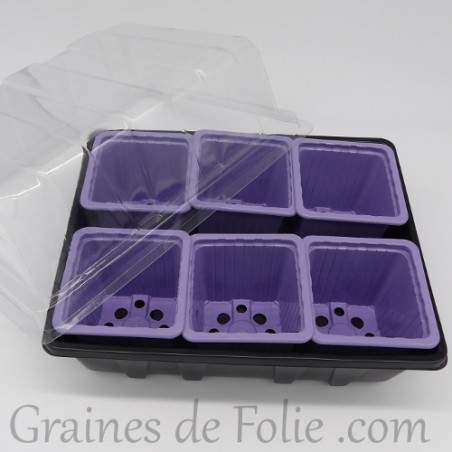 Mini serre avec 6 godets pour semis couleur mauve