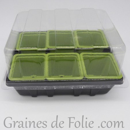 Mini serre avec 6 godets pour semis couleur vert bambou