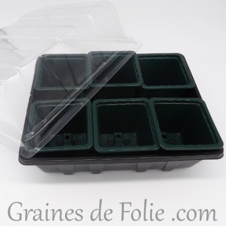 Mini serre avec 6 godets pour semis couleur vert sapin