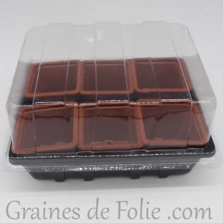 Mini serre avec 6 godets pour semis couleur terracota