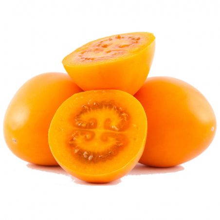TAMARILLO JAUNE Tomate en Arbre yellow cyphomandra solanum betacea graines semences seeds