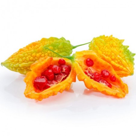 MARGOSE momordica charantia Concombre amer graines semences seeds samen seeds semi semilla zaden