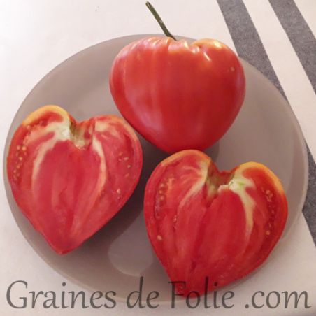 Tomate COEUR DE BOEUF - CUOR DI BUE