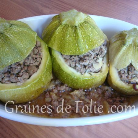 Courgette Ronde de Nice semences certifiées Agriculture Biologique variété ancienne très productive