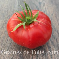 Bio TOMATE POTIRON ECARLATE graines semences anciennes certifiées AB