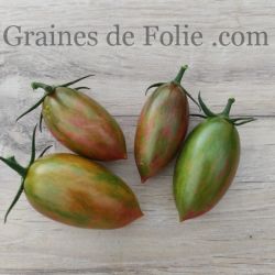 Bio Tomate Lucky Tiger graines semences anciennes certifiées AB