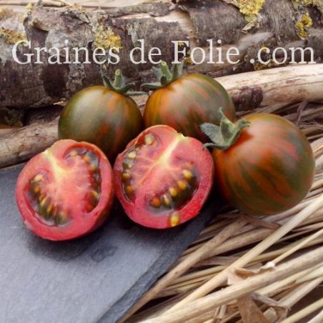 Bio Tomate BLACK ZEBRA COCKTAIL graines semences pollinisation ouverte