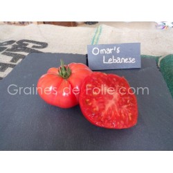 Graines de Tomate OMAR'S LEBANESE