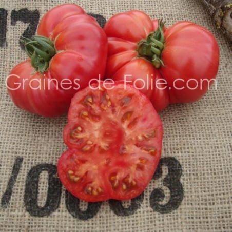 Graines de Tomate OMAR'S LEBANESE