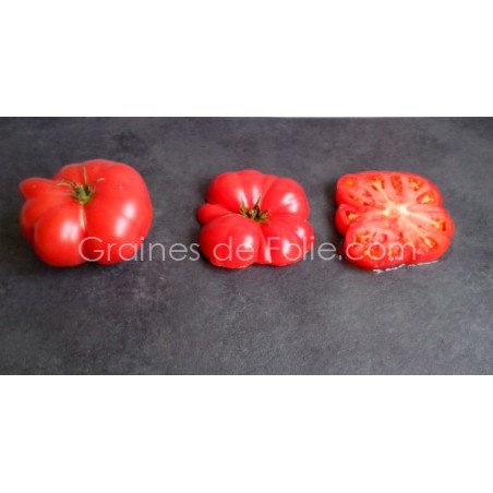 Tomate Géante BELGE