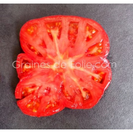 Tomate Géante BELGE