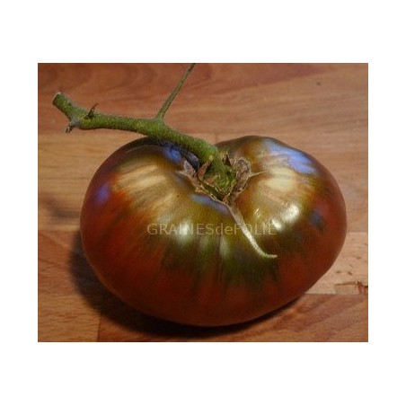  Tomate « NOIRE de CRIMEE »