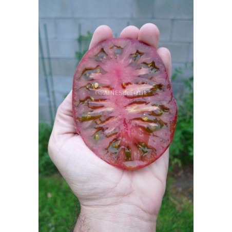  Tomate « NOIRE de CRIMEE »