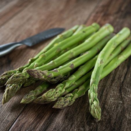 ASPERGE MARY WASHINGTON variété précoce et rustique
