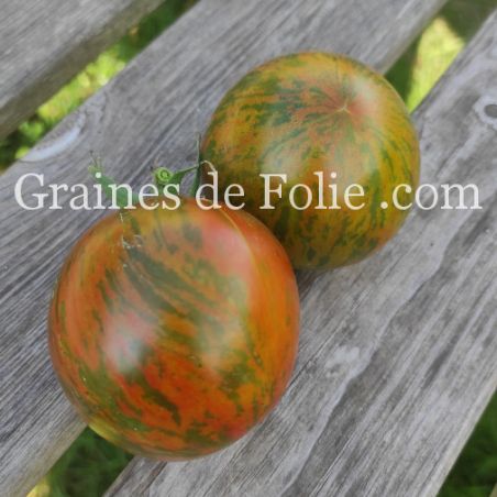  TOMATE COEUR DE SURPRIZ variété de Type beefsteak. Graines certifiées Bio