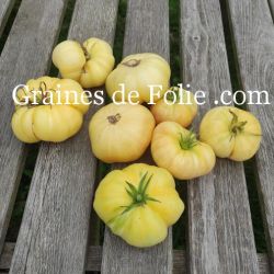 TOMATE ALFMOON CHINA beefsteak blanche graines semences anciennes bio