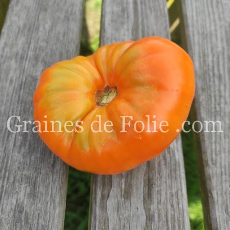 TOMATE LILLIAN'S YELLOW HEIRLOOM variété ancienne excellente beefsteak graines bio