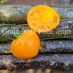 TOMATE ancienne FRAISE ORANGE graines semences paysannes bio