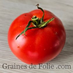 TOMATE JOIE DE LA TABLE Bio variété ancienne italienne rustique et productive graines semences