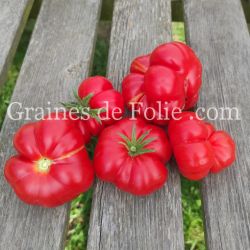 TOMATE HOM'S Bio variété ancienne syrienne excellente saveur graines