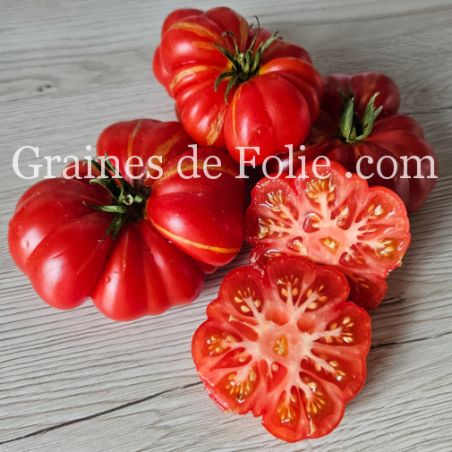 TOMATE HOM'S Bio variété ancienne syrienne excellente saveur graines