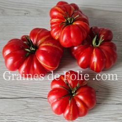 TOMATE HOM'S Bio variété ancienne syrienne excellente saveur graines