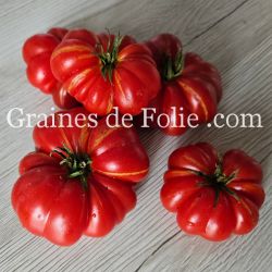 TOMATE HOM'S Bio variété ancienne syrienne excellente saveur graines