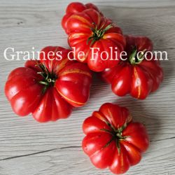 TOMATE HOM'S Bio variété ancienne syrienne excellente saveur graines