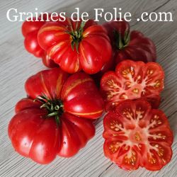 TOMATE HOM'S Bio variété ancienne syrienne excellente saveur graines