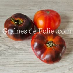 TOMATE LUCID GEM Bio excellente variété beefsteak américaine charnue avec peu de graines