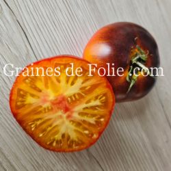 TOMATE LUCID GEM Bio excellente variété beefsteak charnue avec peu de graines non hybride f1