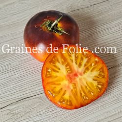 TOMATE LUCID GEM Bio excellente variété beefsteak charnue avec peu de graines pollinisation ouverte