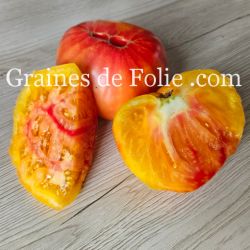 BIO TOMATE MARY ROBINSON variété ancienne excellente saveur et productive graines semences paysannes