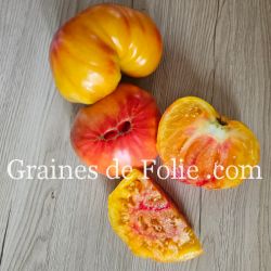 BIO TOMATE MARY ROBINSON variété ancienne excellente saveur et productive graines semences paysannes