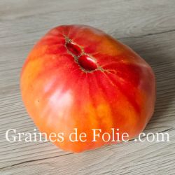 BIO TOMATE MARY ROBINSON variété ancienne excellente saveur et productive graines semences paysannes