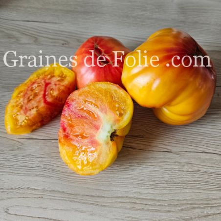 BIO TOMATE MARY ROBINSON variété ancienne excellente saveur et productive graines semences paysannes
