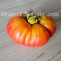TOMATE MORTGAGE LIFTER PESTA STRAIN excellente et productive gros fruits graines semences certifiées BIO