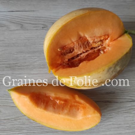 MELON DE BOURGOGNE MIX d'anciennes variétés graines semences paysannes certifiées BIO