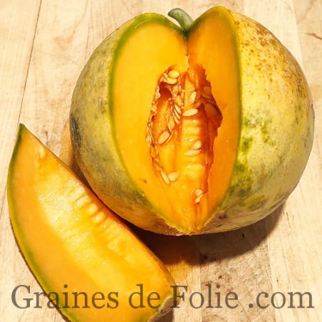 MELON DE BOURGOGNE MIX d'anciennes variétés graines semences paysannes certifiées BIO