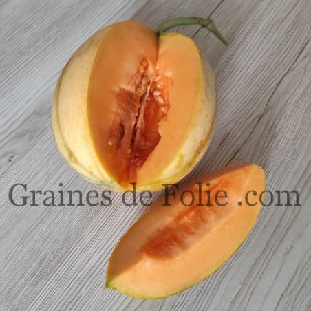 MELON DE BOURGOGNE MIX d'anciennes variétés graines semences paysannes certifiées BIO