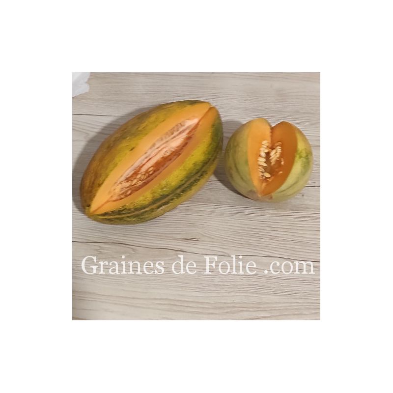 Melon Jaune Canari 2 Bio - Graine Melon