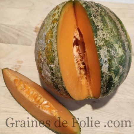 MELON DE BOURGOGNE MIX d'anciennes variétés graines semences paysannes certifiées BIO