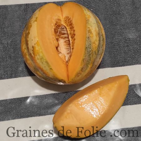 MELON DE BOURGOGNE MIX d'anciennes variétés graines semences paysannes certifiées BIO